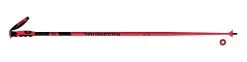 Skistöcke ROSSIGNOL Hero GS - 2021/22