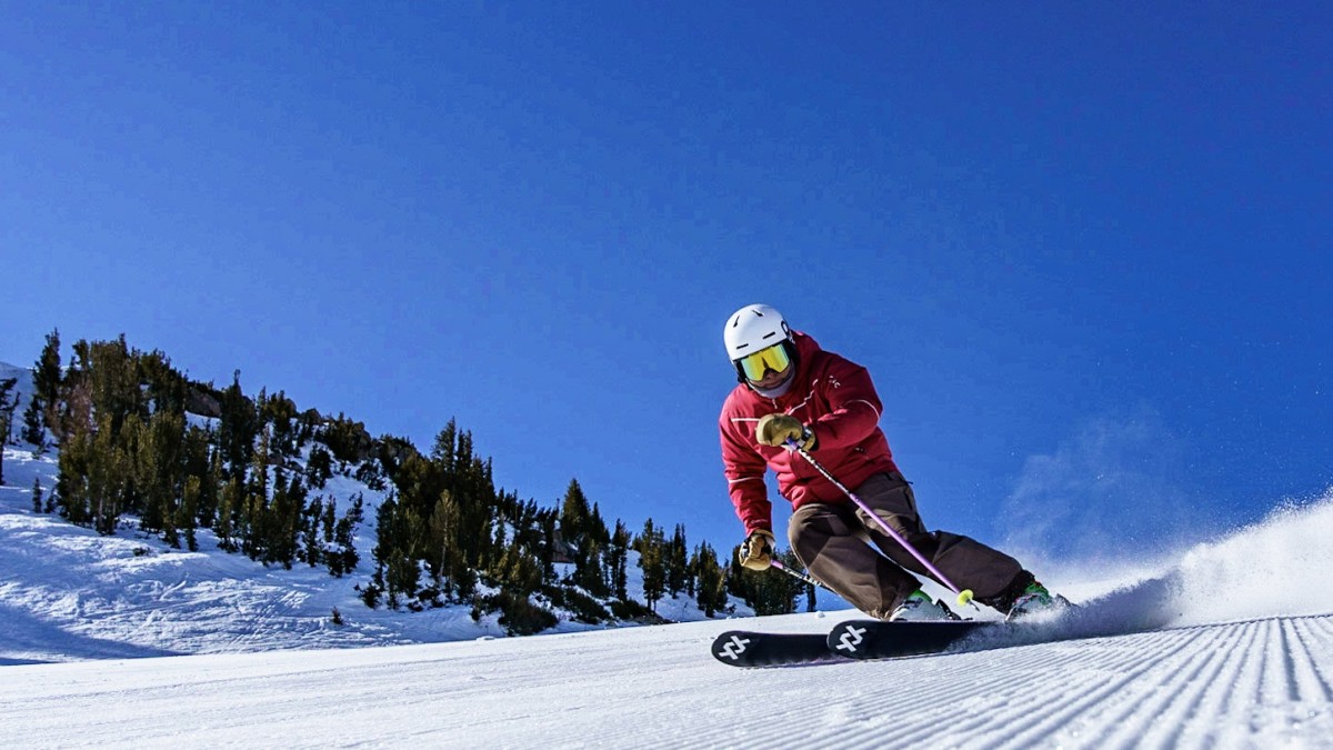 Rossignol Verkäufe -Rossignol Verkäufe q